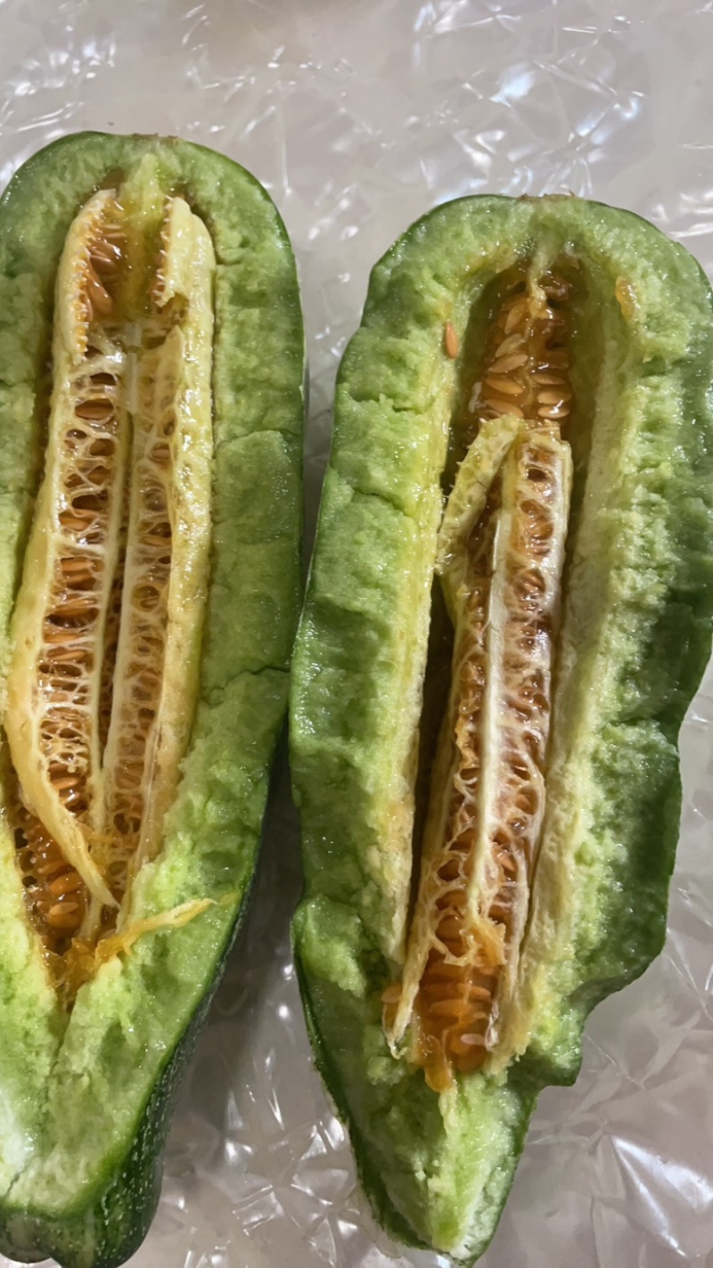 羊角蜜博洋9大量上市