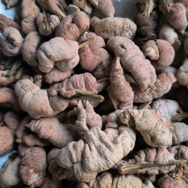 竹花竹黄中药材批发竹黄质量保证量大从优
