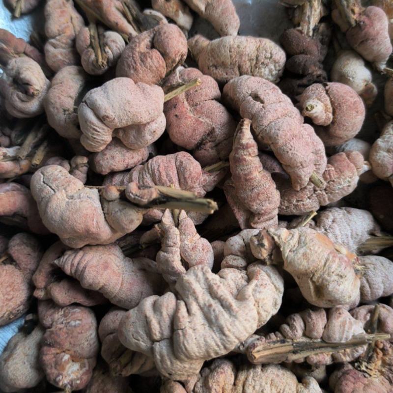 竹花竹黄中药材批发竹黄质量保证量大从优