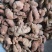 竹花竹黄中药材批发竹黄质量保证量大从优