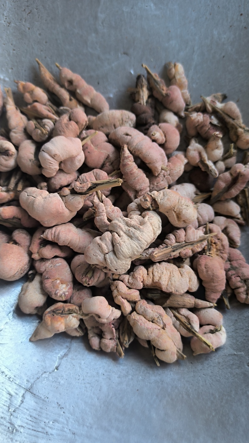 竹花竹黄中药材批发竹黄质量保证量大从优
