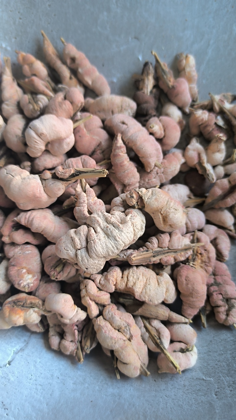 竹花竹黄中药材批发竹黄质量保证量大从优