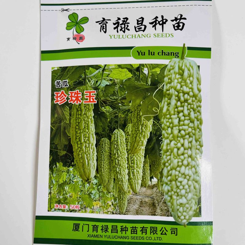 珍珠玉白绿苦瓜种子品种，中早熟品种种子