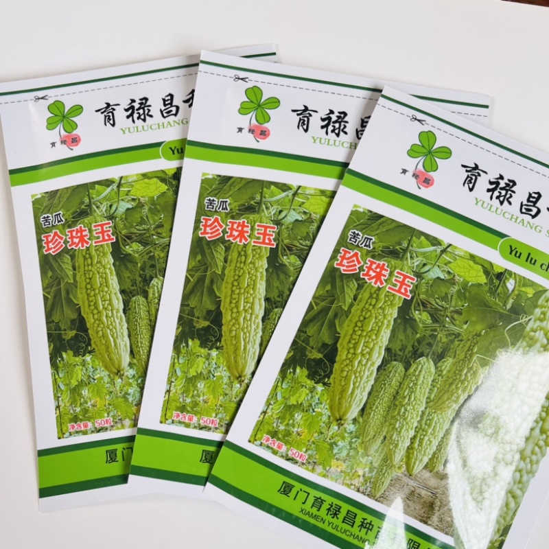 珍珠玉白绿苦瓜种子品种，中早熟品种种子