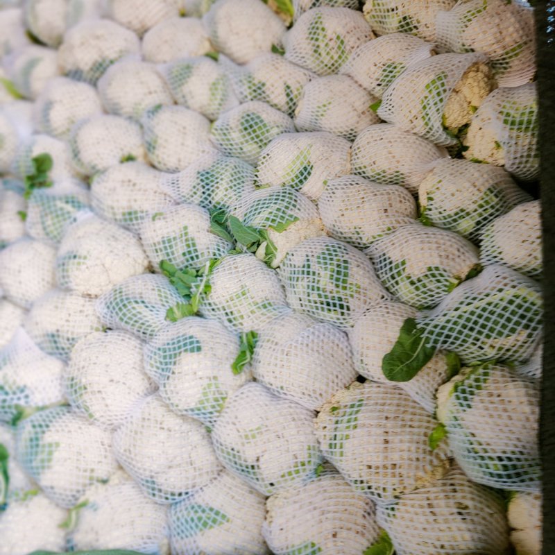 精品有机花菜大量上市对接电商产地直发一手货源发代代办