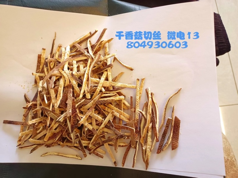 精品推荐抚顺干香菇条大量上市价格优惠可看货