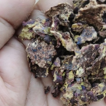 药棉籽原包装无霉变质量好看的见有机肥