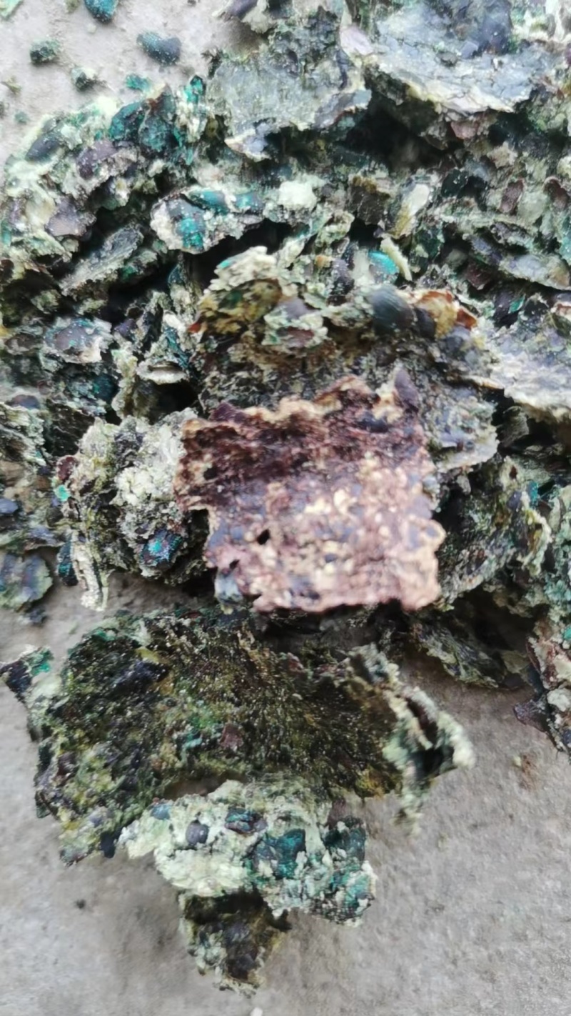 药棉籽原包装无霉变质量好看的见有机肥