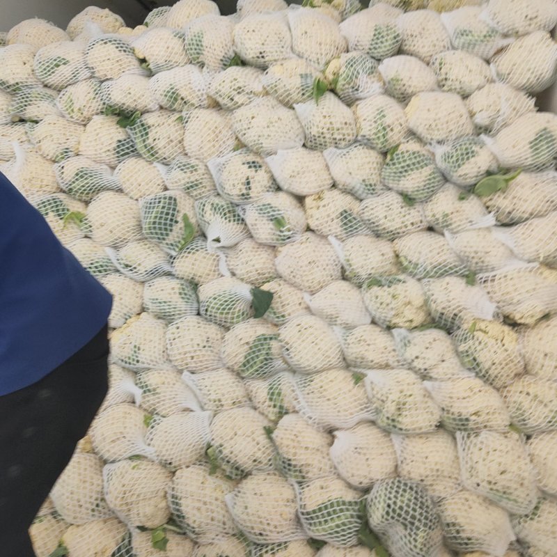 精品有机花菜大量上市对接电商产地直发一手货源发代代办