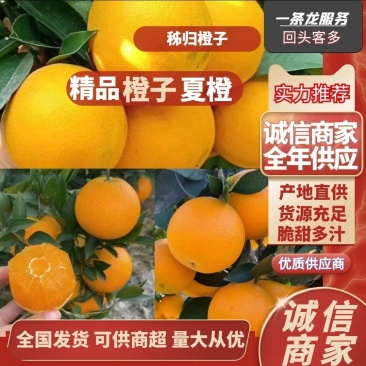 秭归脐橙夏橙产地直发，果园看货，皮薄多汁，爽口化渣