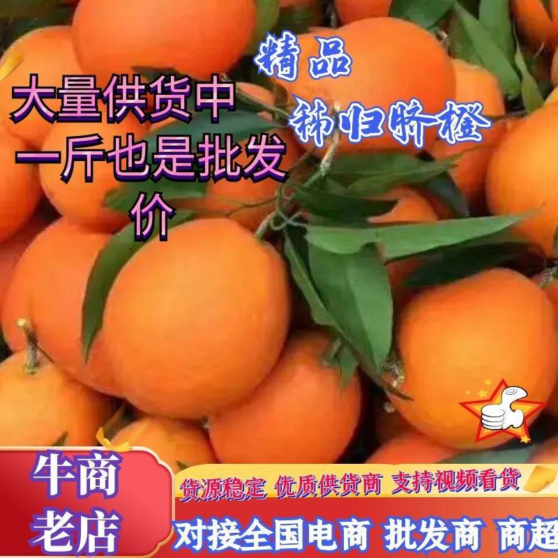 【甄选】优质供货，秭归脐橙产地看货品尝定果、全国代发
