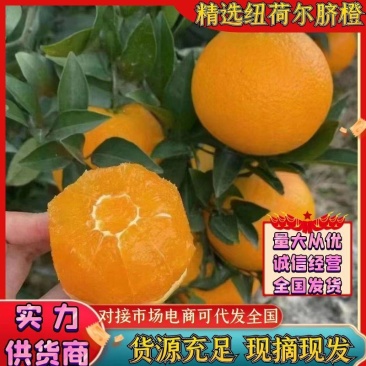 脐橙65mm以下次果产地看货装车，产地批发，皮薄多汁，