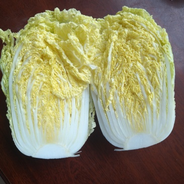 精品甘肃娃娃菜产地直发一手货源价格优惠欢迎咨询选购