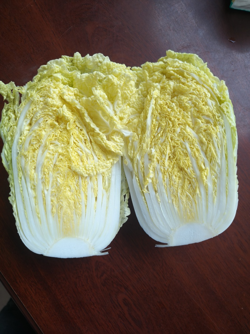 精品甘肃娃娃菜产地直发一手货源价格优惠欢迎咨询选购