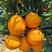 【夏橙】秭归橙子产地批发现采现发代发全国市场电商
