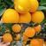 【夏橙】秭归橙子产地批发现采现发代发全国市场电商