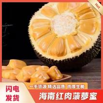 海南泰国红肉8号菠萝蜜品质保证价格美丽欢迎视频看货
