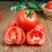 西红柿农家大粉西红柿，味道可口，欢迎大家进店选购。