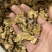 【货对版气味浓】苍术朱砂点苍术正品生苍术干货苍术片