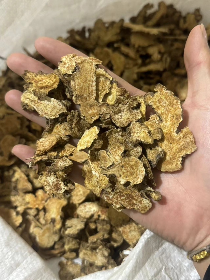 【货对版气味浓】苍术朱砂点苍术正品生苍术干货苍术片