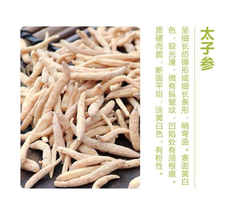 【太子参】中药材太子参孩儿参无硫太子参手选货包邮