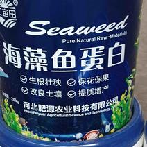 海藻鱼蛋白水溶肥水溶性肥料全水溶无残渣厂家直销