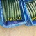 河南商丘夏邑精品密刺黄瓜大量有货需要联系
