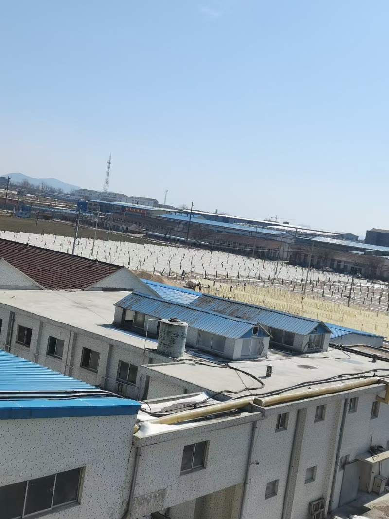 300克龙口粉丝厂家直销诚招代理