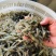 新鲜小河虾/诚信商家/对接各类采购商/冰鲜可发全国/