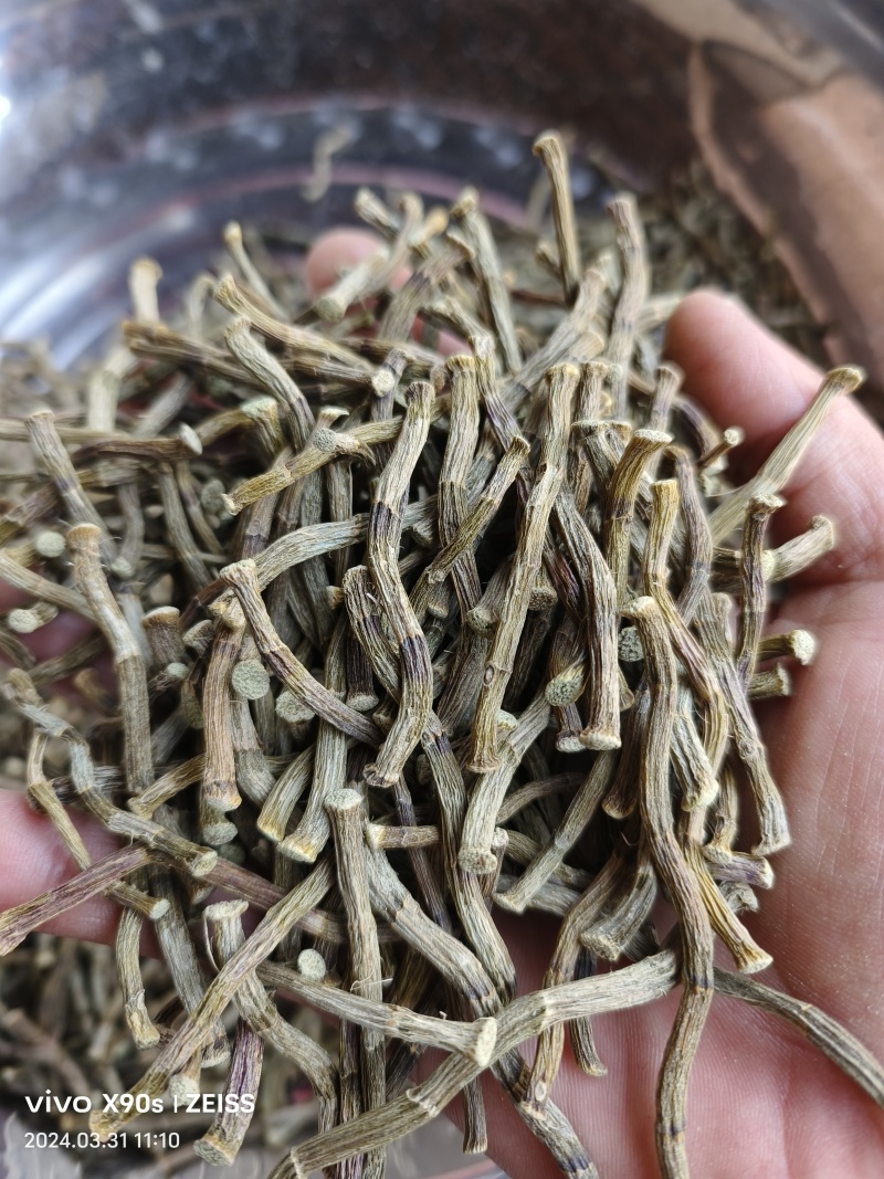 铁皮石斛干寸条基地批发一手货源品质保证全国发货包邮