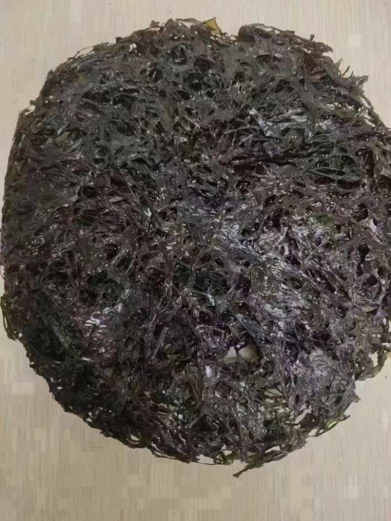 无沙紫菜展会地摊电商福建霞浦无沙紫菜圆紫菜干海带