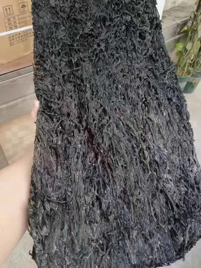 无沙紫菜展会地摊电商福建霞浦无沙紫菜圆紫菜干海带