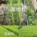 贵州湿地松苗精品湿地松袋苗发现规格齐全全国批发价格