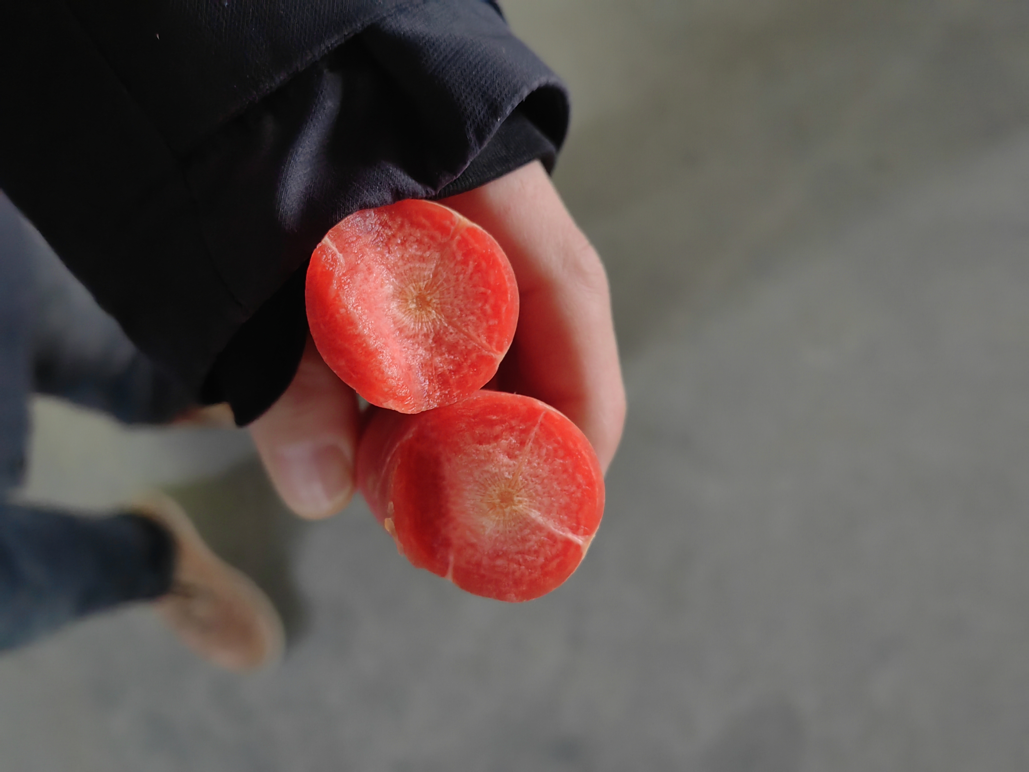 胡萝卜切片与消化过程示意图