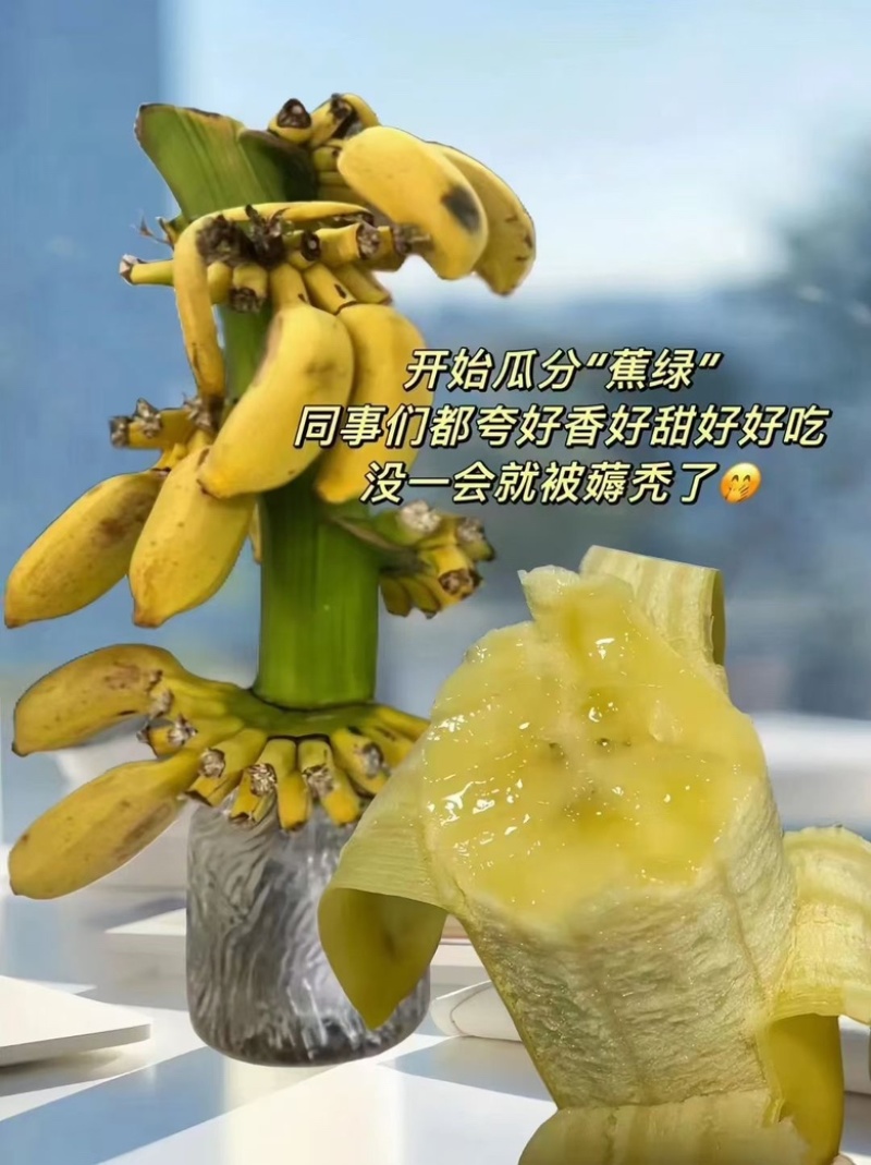 禁止焦虑苹果焦软糯香甜入口即化，齿颊留香