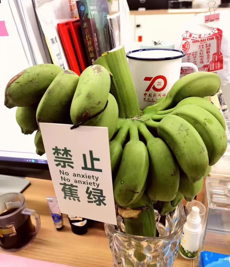 禁止焦虑苹果焦软糯香甜入口即化，齿颊留香