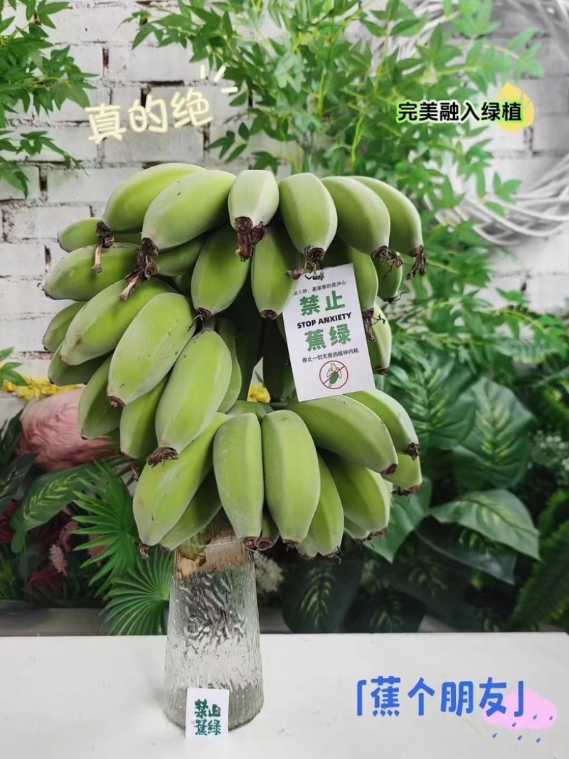 禁止焦虑苹果焦软糯香甜入口即化，齿颊留香