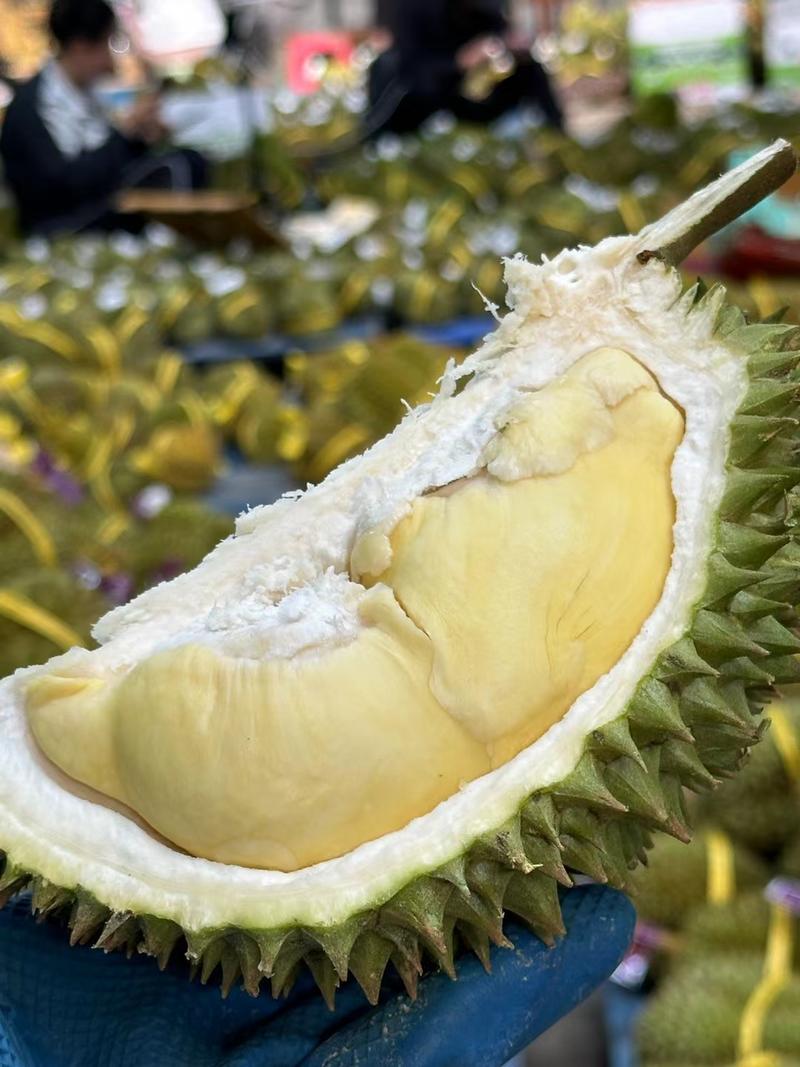 泰国进口金枕头榴莲全部大A果带壳鲜果支持一件代发批发团购