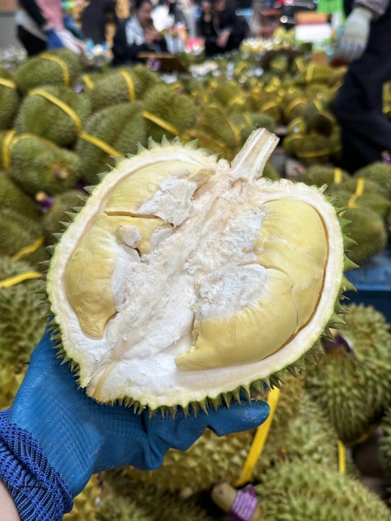 泰国进口金枕头榴莲巴掌榴莲A果带壳鲜果一件代发批发团购