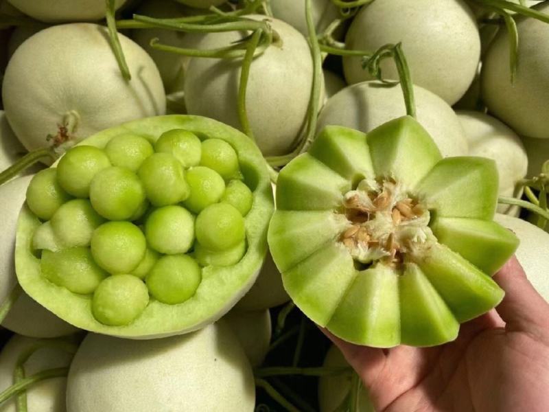 玉菇甜瓜冰淇淋甜瓜大量上市产地直发现摘现发