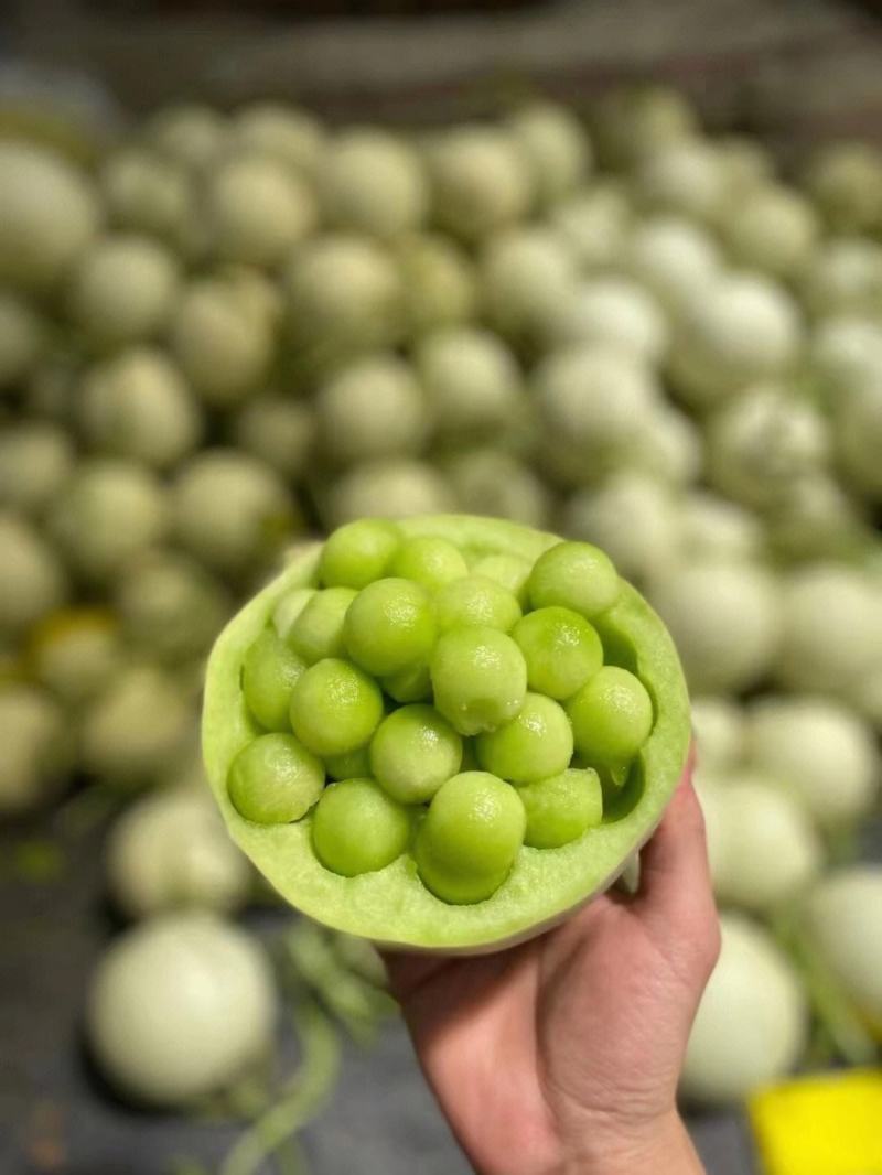 玉菇甜瓜冰淇淋甜瓜大量上市产地直发现摘现发