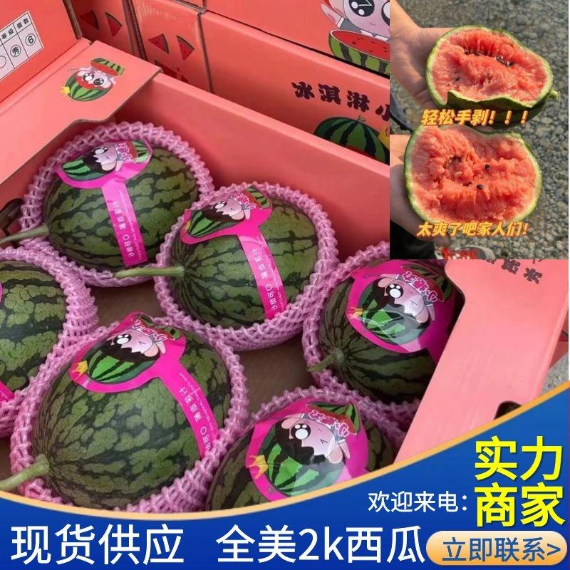 茄瓜 西瓜新贵WM13：甜蜜滋味，丰收之选- 一亩田