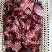 精品小黄牛牛坠子肉，一手货源大量现货