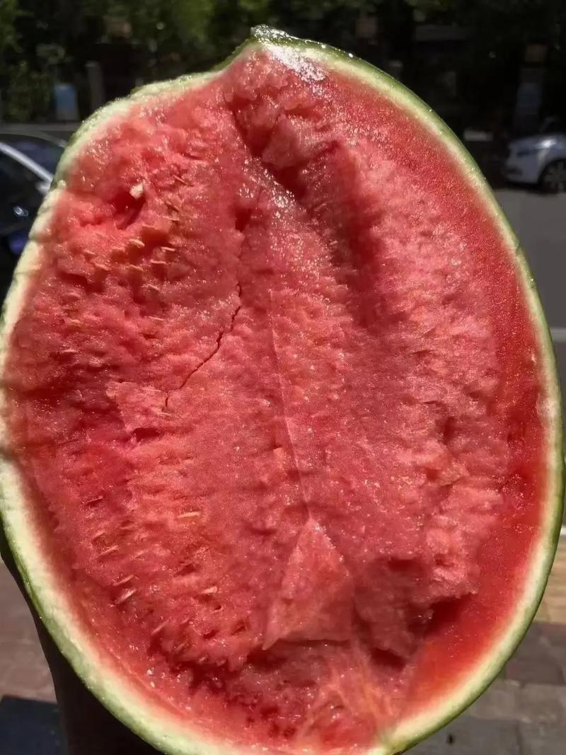 甘美4K美都，嘉秀早春红玉