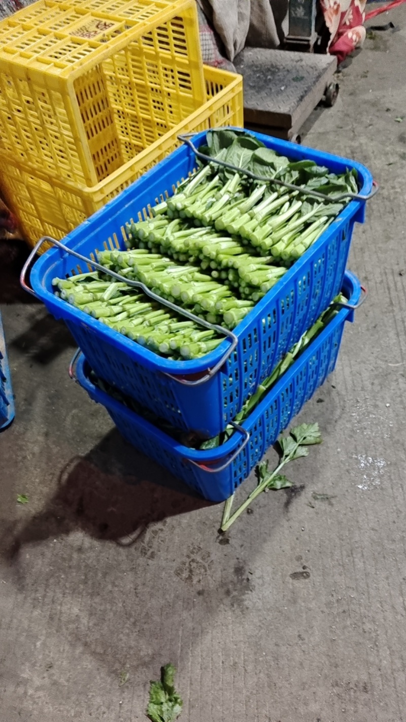 精品蔬菜