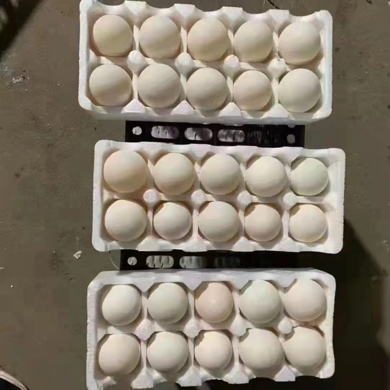 盒装蛋