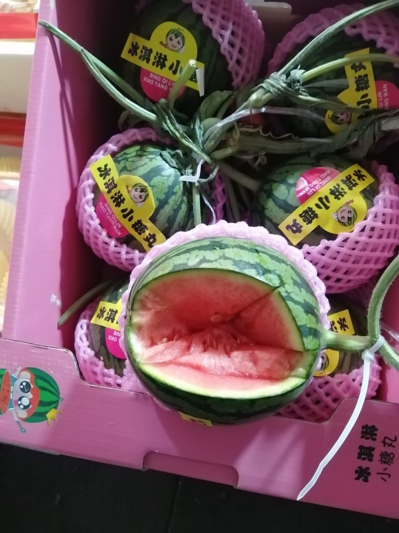 小吊瓜，全美2k西瓜大量现货，欢迎新老顾客详谈