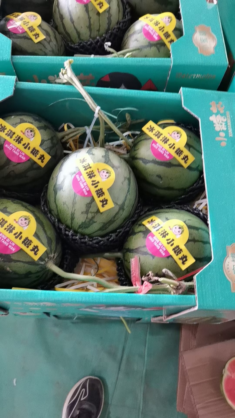 小吊瓜，全美2k西瓜大量现货，欢迎新老顾客详谈