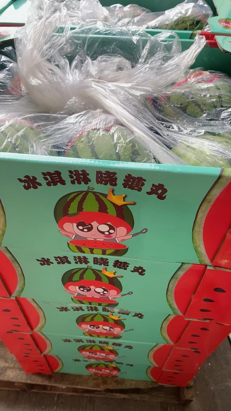 小吊瓜，全美2k西瓜大量现货，欢迎新老顾客详谈