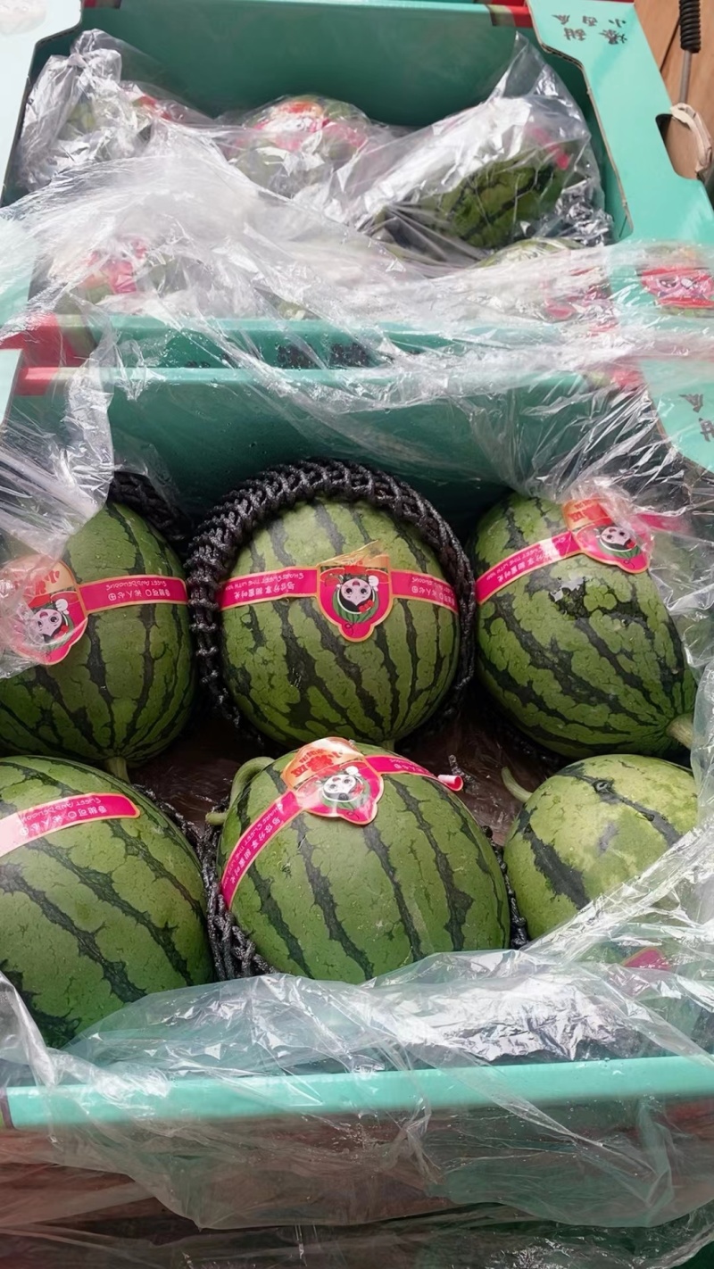 小吊瓜，全美2k西瓜大量现货，欢迎新老顾客详谈